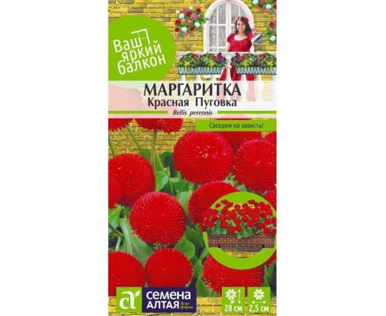 Семена Алтая Маргаритка Красная пуговка 0,05г