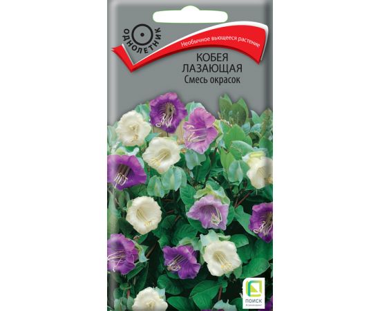 Семена ПОИСК Кобея лазающая Смесь окрасок 5шт