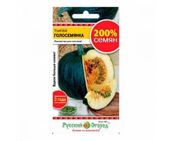 Семена РУССКИЙ ОГОРОД Тыква ГОЛОСЕМЯНКА 2г 414101