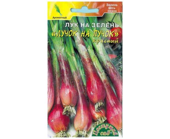 Семена Цветущий Сад Лук на зелень Лучок на пучок (красный) 0,2г