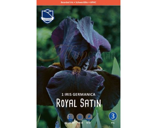 Многолетник ИРИС германский Роял Сатин 1шт