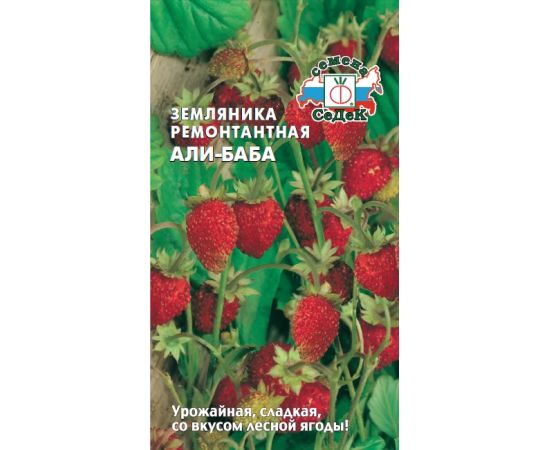 Семена СеДеК Земляника ремонтантная Али-Баба 0,04г