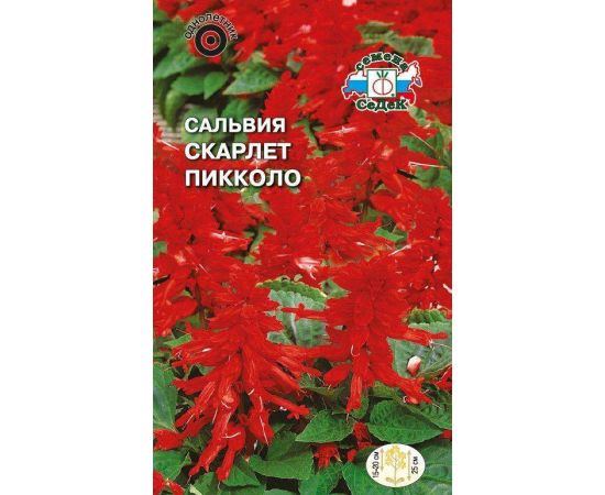 Семена СеДеК Сальвия Скарлет пикколо 0,1г
