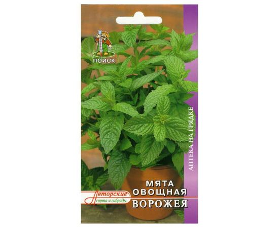 Семена ПОИСК Мята Ворожея  211895