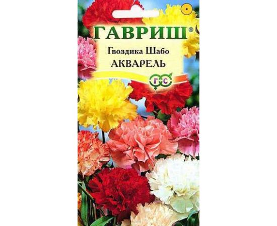 Семена ГАВРИШ Гвоздика Шабо Акварель