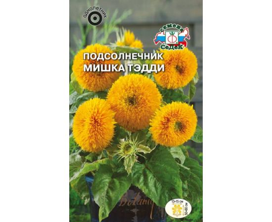 Семена СеДеК Подсолнечник Мишка Тедди 1г
