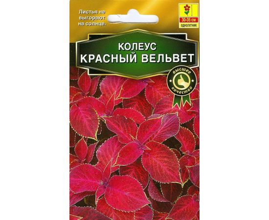 Семена Аэлита Колеус блюме Красный Вельвет 10шт