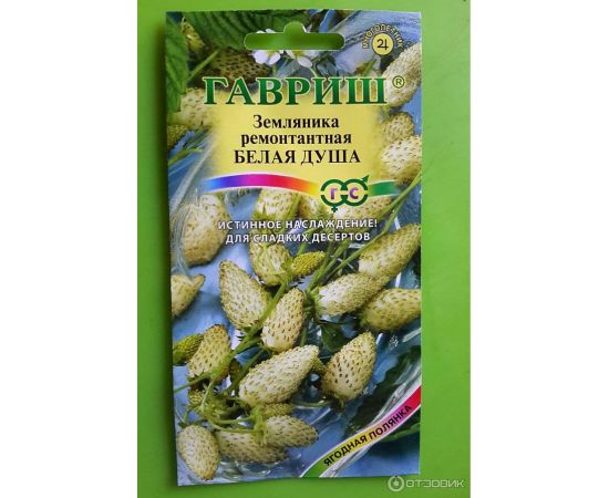 Семена Гавриш Земляника Белая душа 0,03г