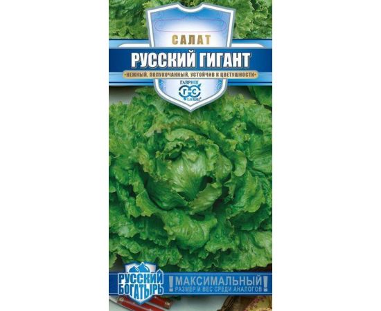 Семена ГАВРИШ САЛАТ Русский Богатырь 1134-1