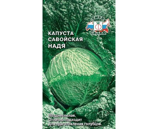 Семена СЕДЕК КАПУСТА савойская НАДЯ 1г  80239