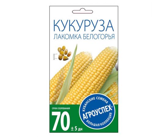 Семена АГРОУСПЕХ КУКУРУЗА ЛАКОМКА БЕЛОГОРЬЯ 5г  66721