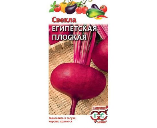 Семена ГАВРИШ СВЕКЛА ЕГИПЕТСКАЯ плоская