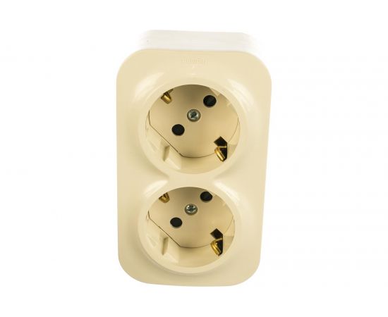 ЛЕГРАНД Розетка 2гн. с/з сл.кость QUTEO IP20 о/у з/ш  782267/1461668