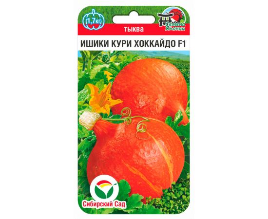 Семена Сибирский Сад Тыква Ишики Кури Хоккайдо F1 3шт