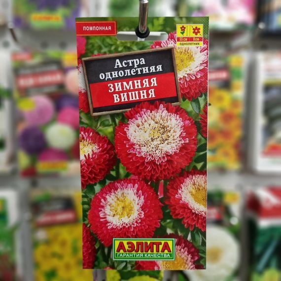 Семена АЭЛИТА Астра Зимняя вишня помпонная 0,2г