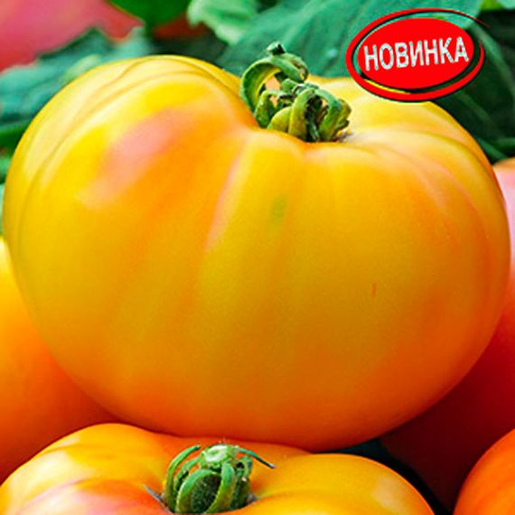 Семена Аэлита ТОМАТ Грейпфрут 0,2г