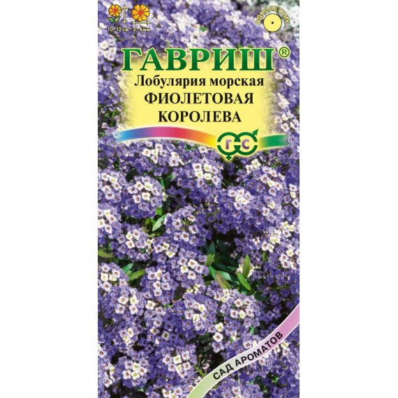 Семена Гавриш Лобулярия морская (алиссум) Фиолетовая королева 0,2г