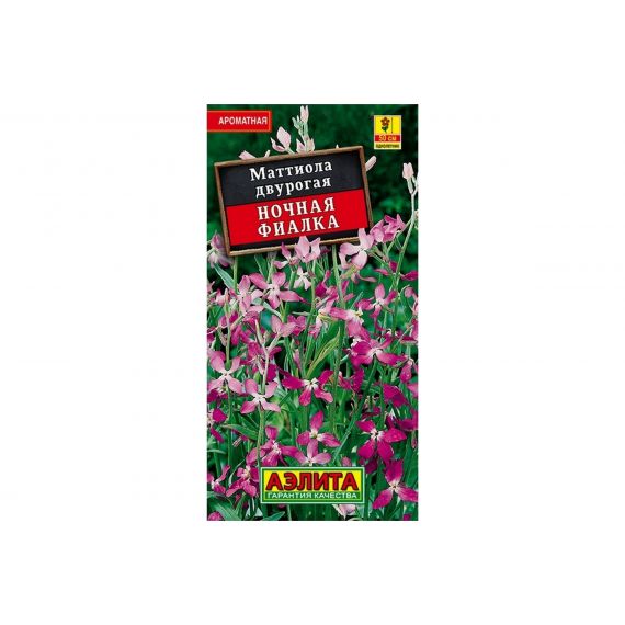 Семена Аэлита Маттиола Ночная фиалка 0,5г, изображение 2
