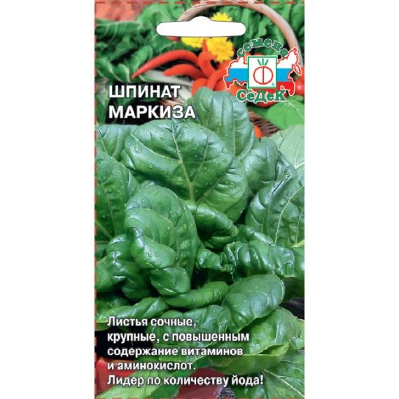 Семена Седек ШПИНАТ Маркиза 2г
