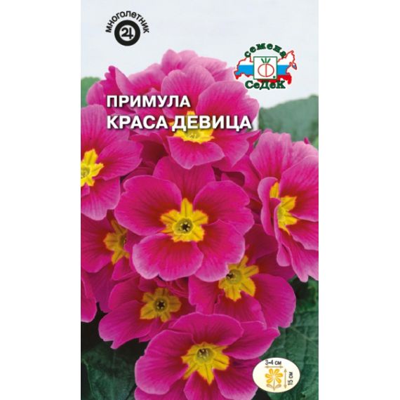 Семена Седек Примула Краса девица розовая 5шт