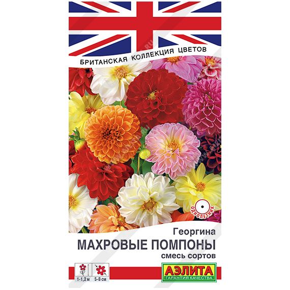 Семена АЭЛИТА Георгина Махровые помпоны 0,2г