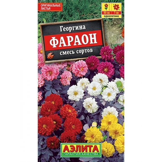 Семена АЭЛИТА Георгина Фараон 0,3г