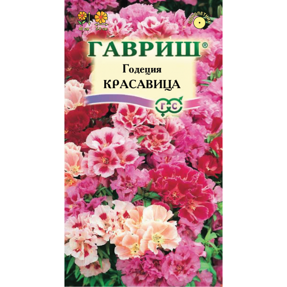 Семена ГАВРИШ ГОДЕЦИЯ Красавица махровая 0,3г