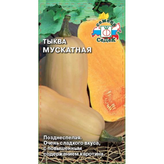 Семена Седек Тыква Мускатная 2г