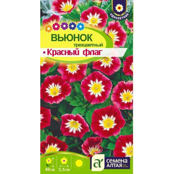Семена Алтая Вьюнок трехцветный Красный флаг 0,5г