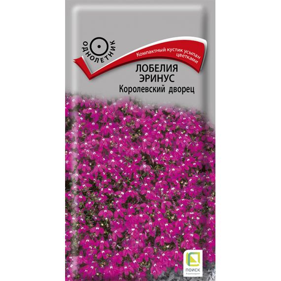 Семена Поиск Лобелия эринус Королевский дворец 0,1г