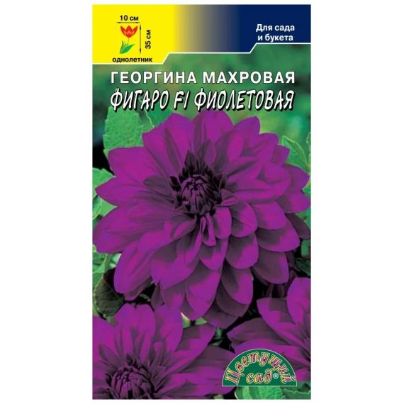Семена ЦВЕТУЩИЙ САД Георгина ФИГАРО F1 фиолетовая 0,05г
