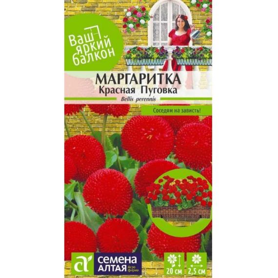 Семена Алтая Маргаритка Красная пуговка 0,05г