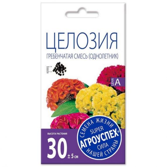 Семена АГРОУСПЕХ ЦЕЛОЗИЯ Гребенчатая 0,2г  66933/214057