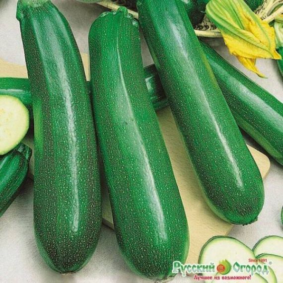 Семена РУССКИЙ ОГОРОД Кабачок цуккини Цукеша 2г