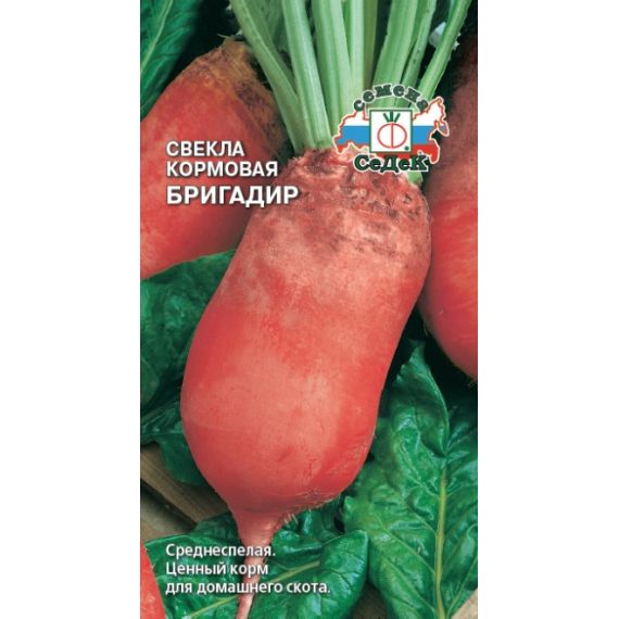 Семена СеДеК Свекла кормовая Бригадир 3г