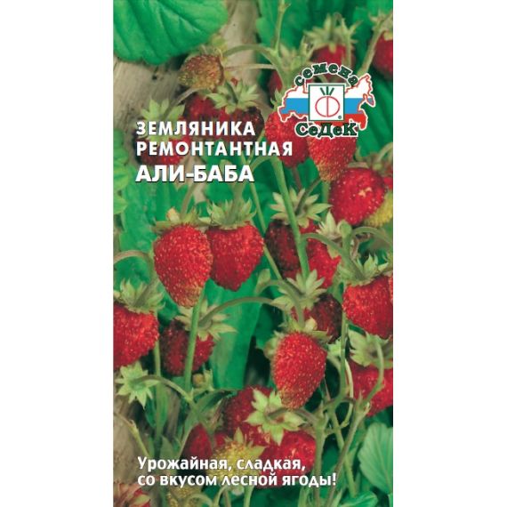Семена СеДеК Земляника ремонтантная Али-Баба 0,04г