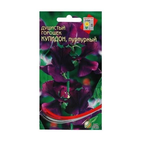 Семена Дом Семян Горошек душистый Купидон пурпурный 6шт