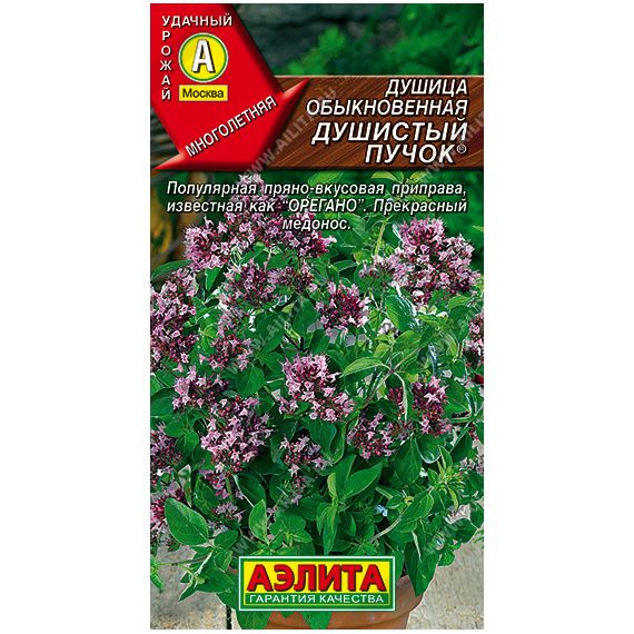 Семена Аэлита Душица обыкновенная (орегано) Душистый пучок 0,05г