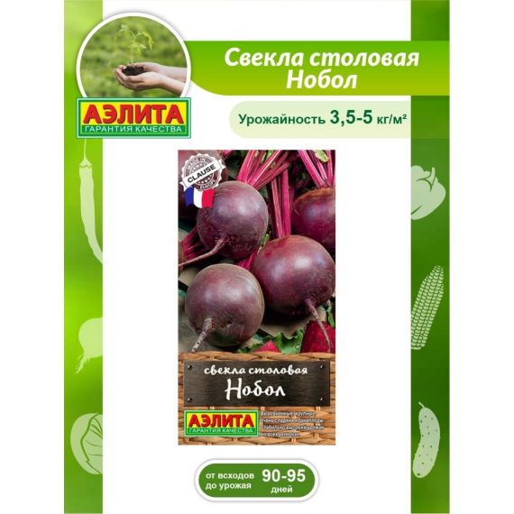 Семена Аэлита Свекла Нобол 1г