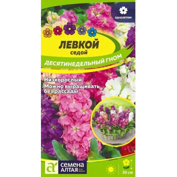 Семена Алтая Левкой седой Десятинедельный гном 0,1г