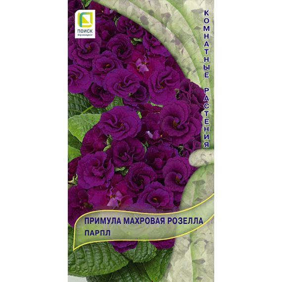 Семена Поиск Примула махровая Розелла Парпл 5шт