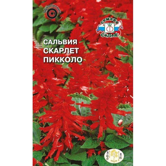 Семена СеДеК Сальвия Скарлет пикколо 0,1г