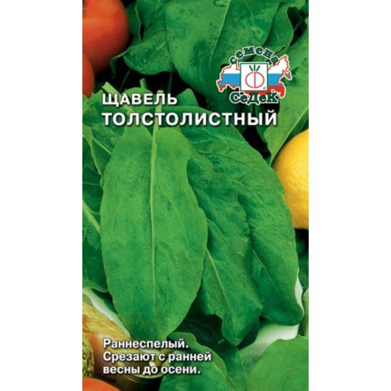 Семена СЕДЕК ЩАВЕЛЬ Толстолистный