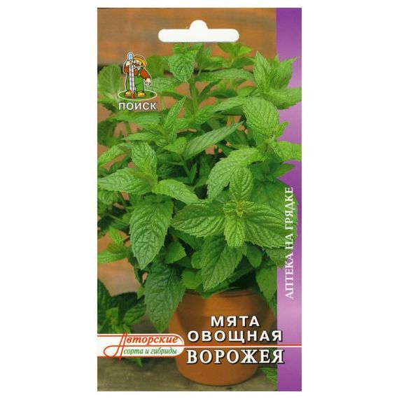 Семена ПОИСК Мята Ворожея  211895