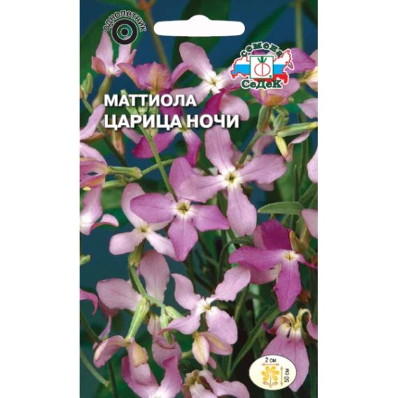 Семена СеДеК Маттиола (ночная фиалка) Царица Ночи 0,3г