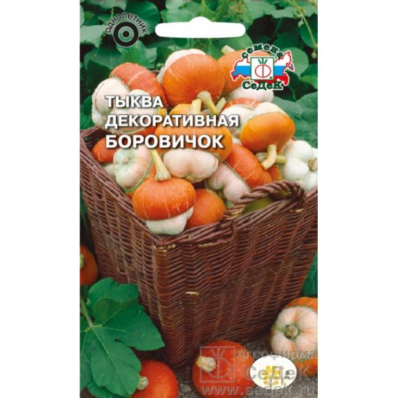 Семена СЕДЕК тыква БОРОВИЧОК 0,25