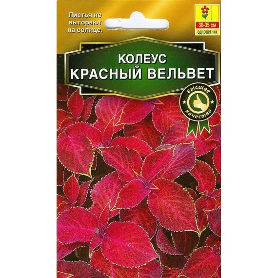 Семена Аэлита Колеус блюме Красный Вельвет 10шт