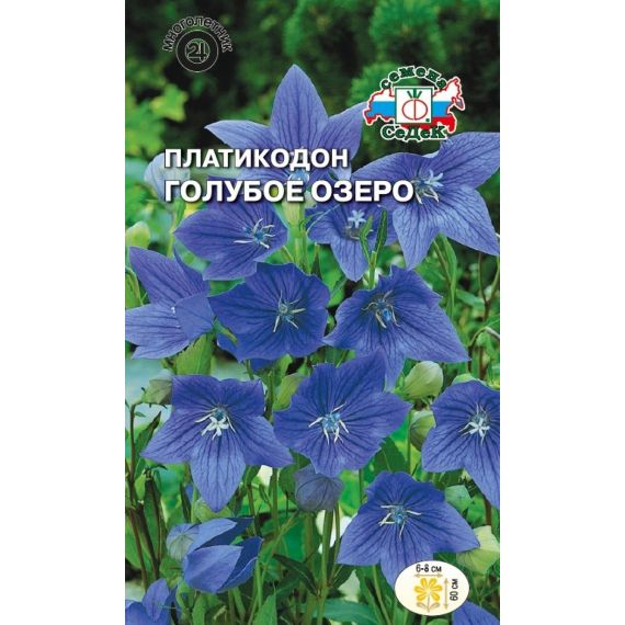 Семена СЕДЕК ПЛАТИКОДОН Голубое озеро  214611