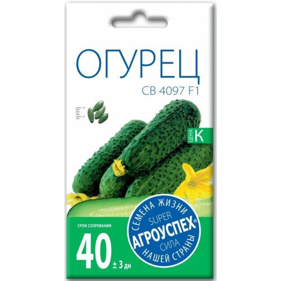 Семена АГРОУСПЕХ Огурец СВ 4097 F1 6шт
