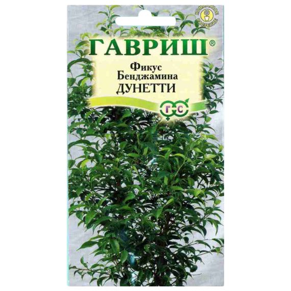 Семена ГАВРИШ Фикус Бенжамина